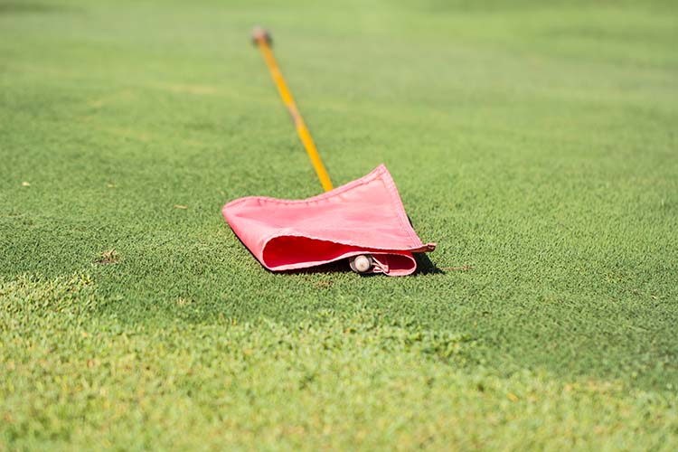 Moving The Flag On The Green